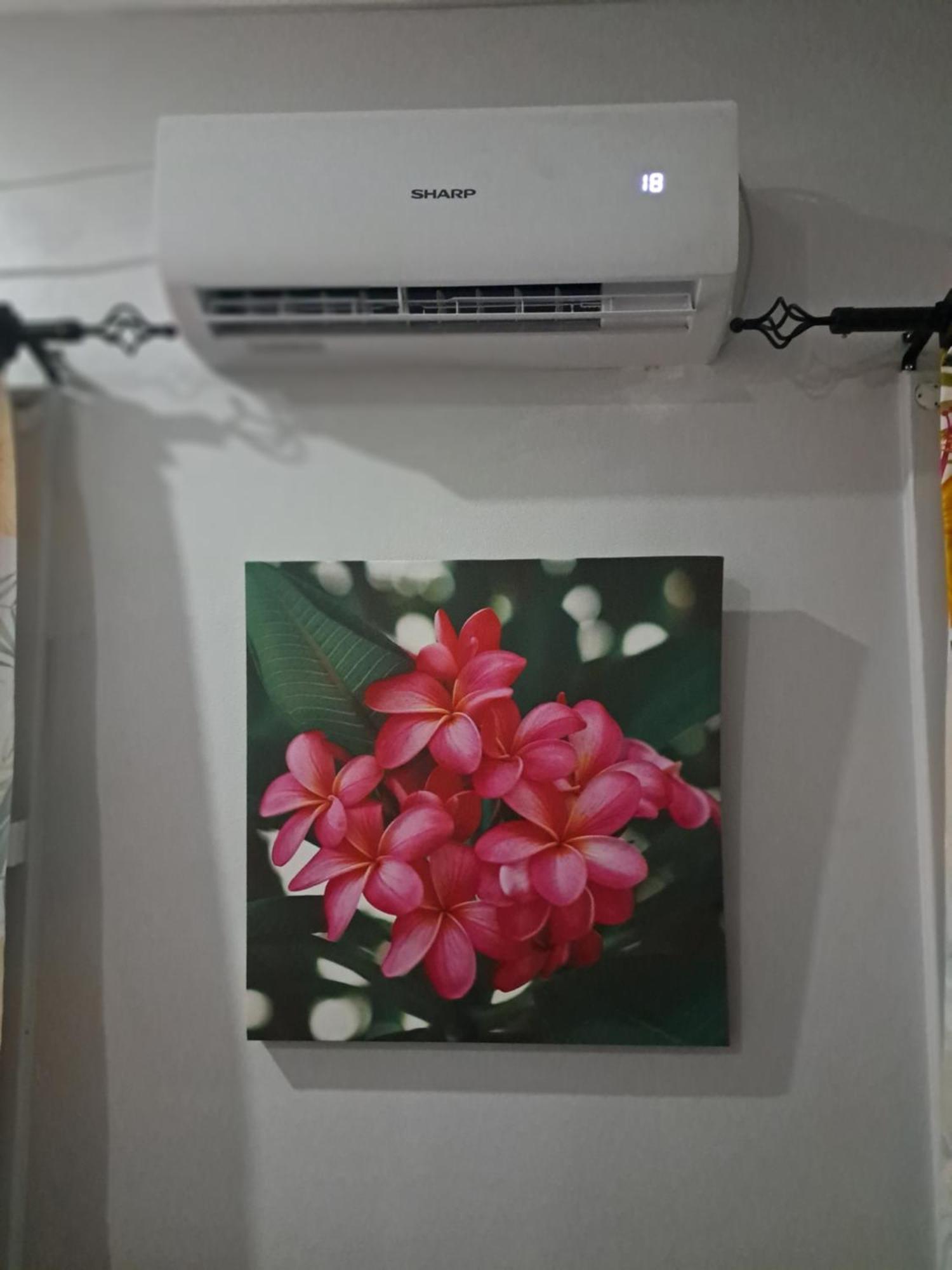 مبيت وإفطار سوفا Tropical Almond Haven المظهر الخارجي الصورة